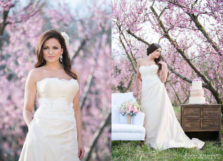 lily greenthumb's, pixton bridal, sky's the limit bridal sweets,