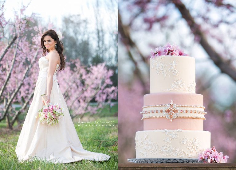 sky's the limit bridal sweets charlotte nc