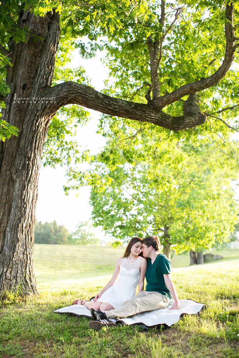 carrigan farms engagement photos