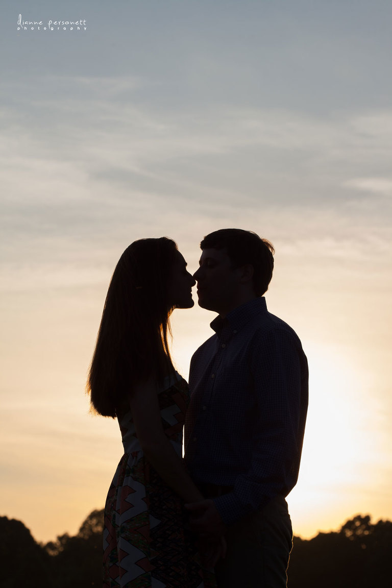 engagement photos at carrigan farms mooresville nc