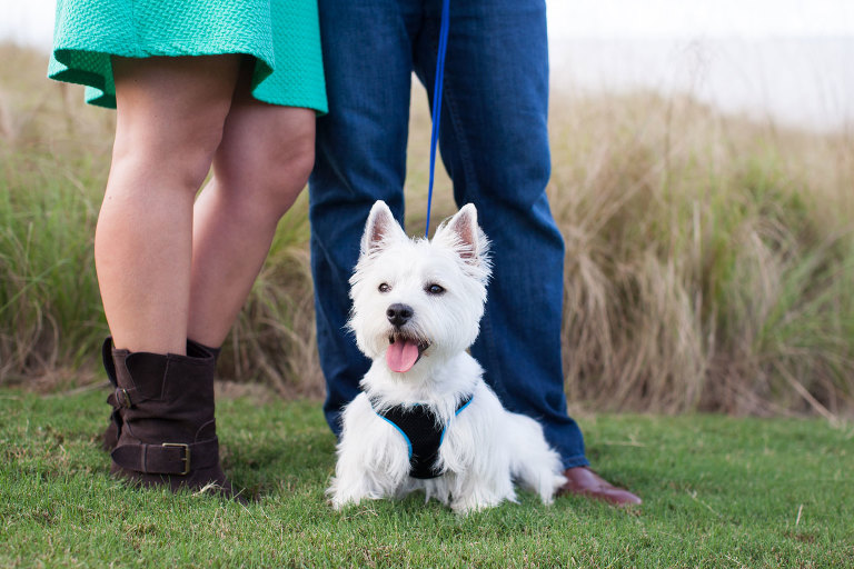 north carolina museum of art engagement photos