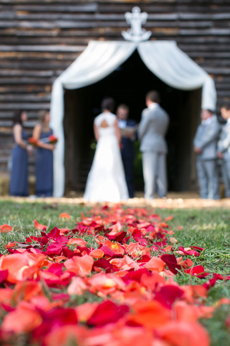 beaver dam davidson wedding photos