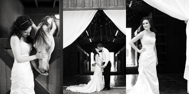 charlotte wedding photographer