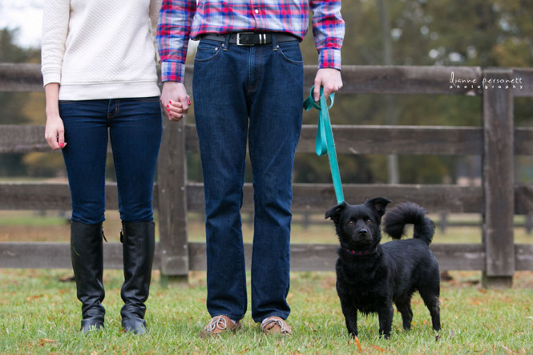 morning glory farms engagement photos