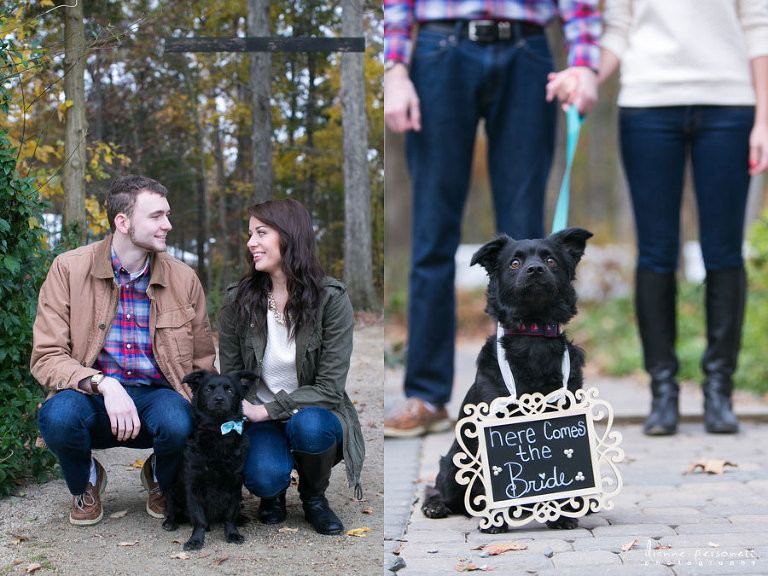 morning glory farms engagement photos