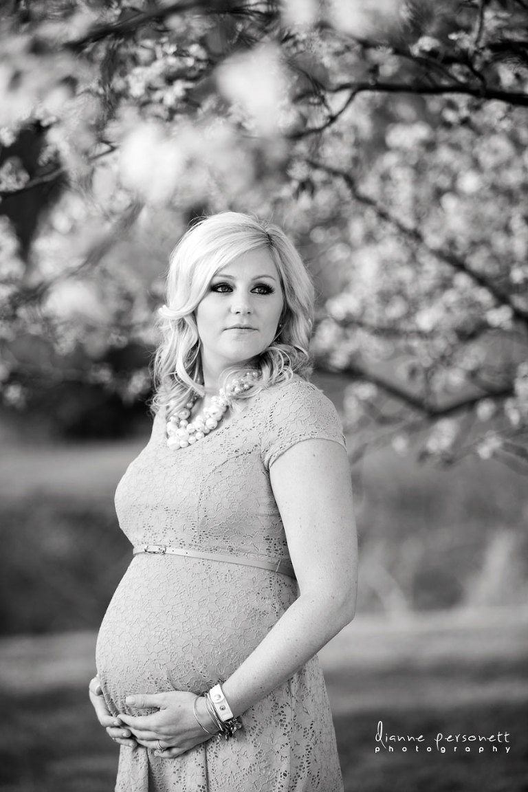 maternity photos with blossoms