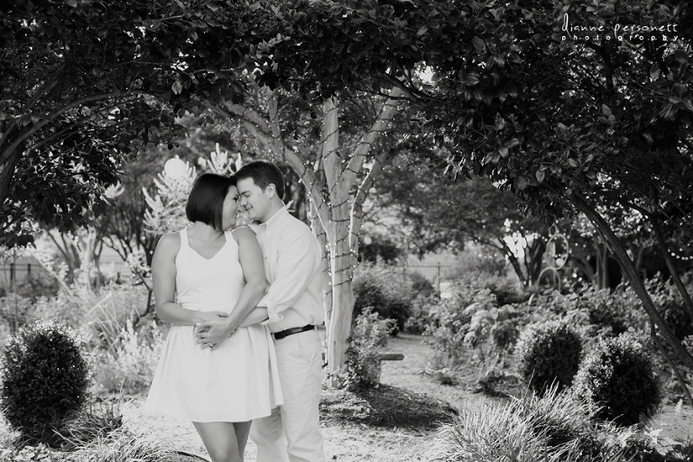 mcgill rose garden engagement photos