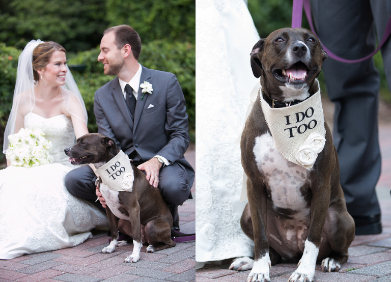 mint museum charlotte wedding photos