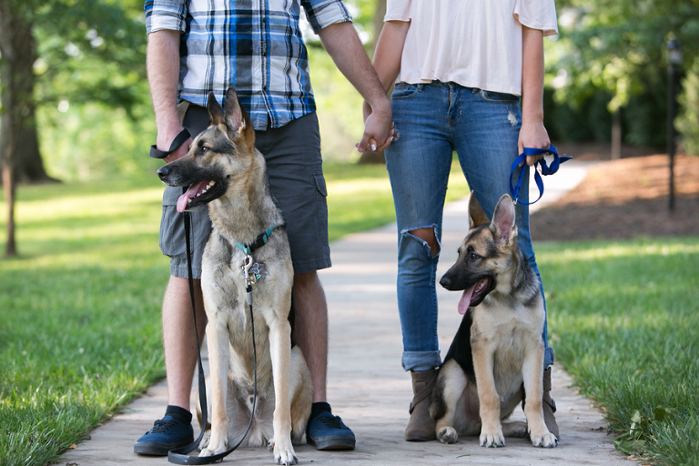 winston-salem tanglewood park engagement photos