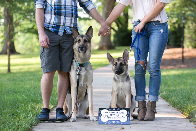 winston-salem engagement photos