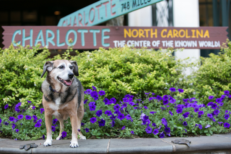 Lifestyle photographer Charlotte NC