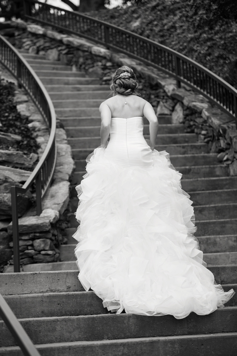 The cliffs at walnut cove wedding photos
