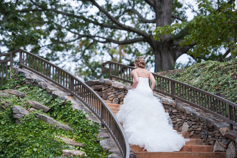 The cliffs at walnut cove wedding photos