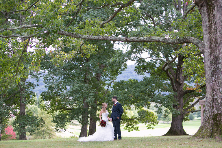 The cliffs at walnut cove wedding photos