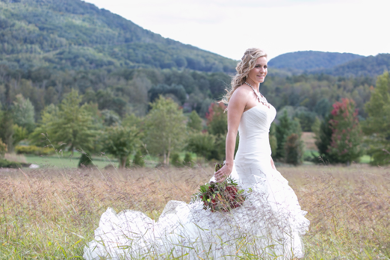 The cliffs at walnut cove wedding photos