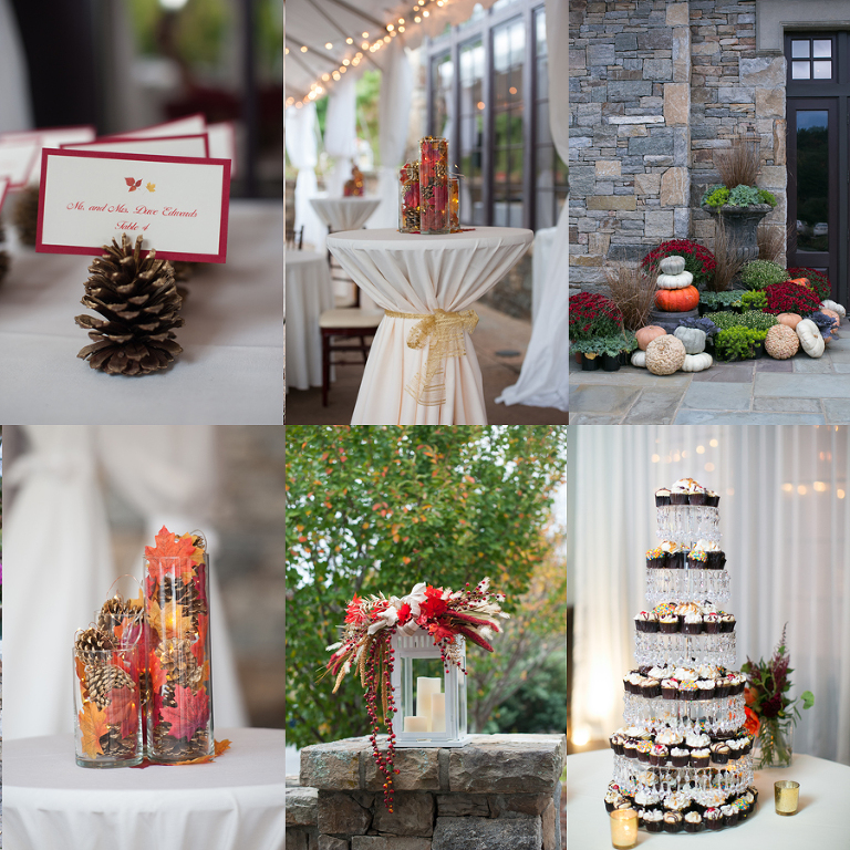 the cliffs at walnut cove asheville wedding photos