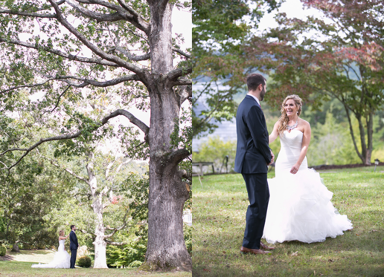 The cliffs at walnut cove wedding photos