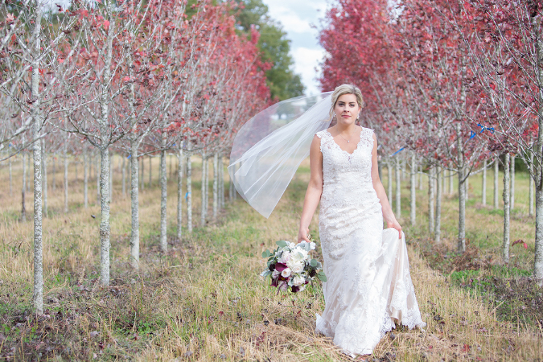the arbors events wedding photos