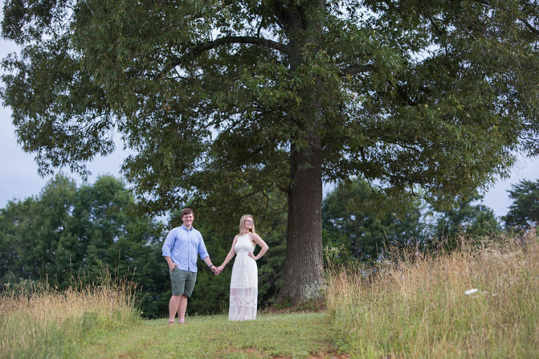 daveste vineyards engagement photos