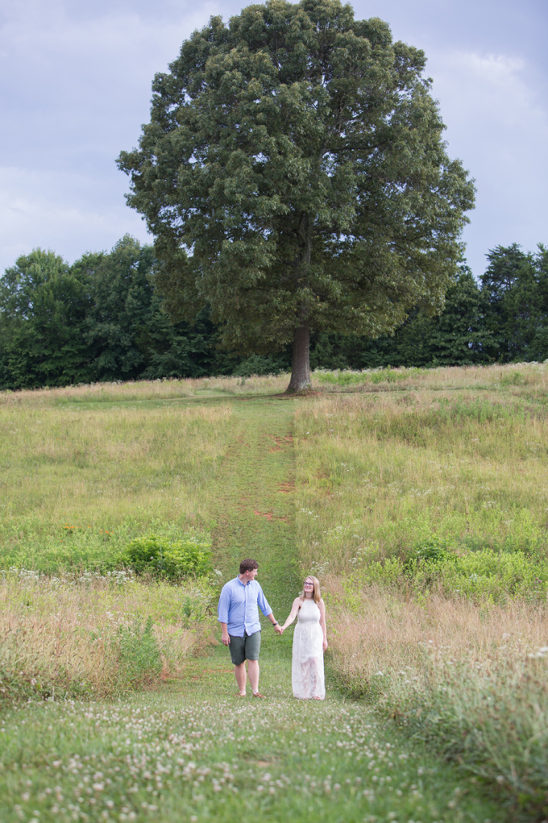 daveste vineyards engagement photos